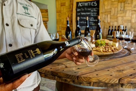 Wine tasting Neuras 