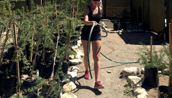 Revegetation Project